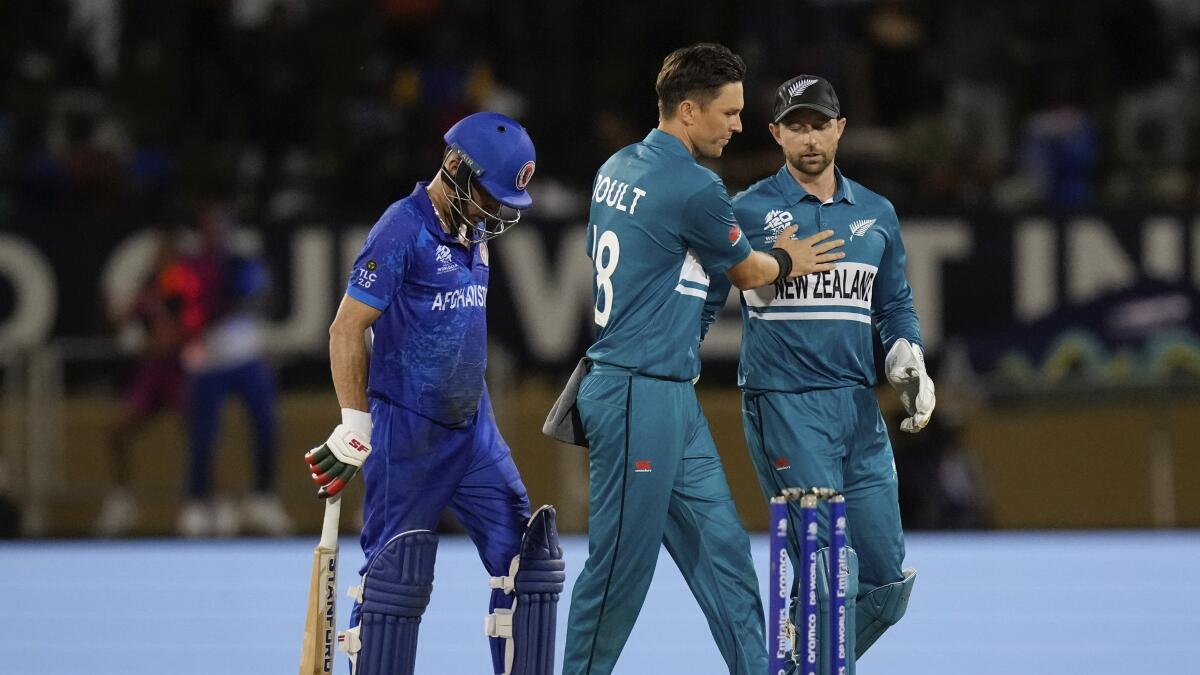 T20 World Cup 2024: New Zealand faces West Indies in virtual knockout, rain threatens to derail England